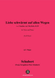 Schubert-Liebe schwärmt auf allen Wegen