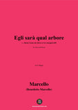 B. Marcello-Egli sarà qual arbore