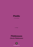 Plüddemann-Phidile