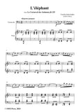 Saint-Saëns-L'éléphant(The Elephant)