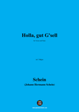 Schein-Holla,gut G'sell