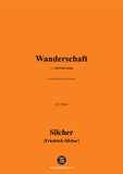 Silcher-Wanderschaft(Ein Sträuβchen am Hute)