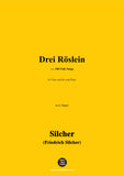 Silcher-Drei Röslein(Jetzt gang i ans Brünnele)