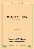Vaughan Williams-The Lark Ascending