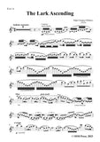 Vaughan Williams-The Lark Ascending