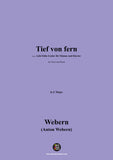 Webern-Tief von fern