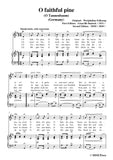 Bantock-Folksong,O faithful pine(O Tannenbaum)