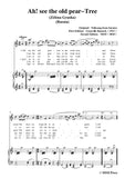 Bantock-Folksong,Ah,see the old pear-Tree(Zéléna grusha)