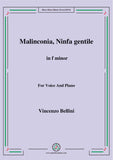 Bellini-Malinconia,Ninfa gentile