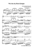 Brahms-Wie bist du,Mein Königin