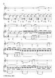 Brahms-Sehnsucht,Op.49 No.3