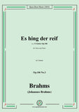 Brahms-Es hing der reif,Op.106 No.3