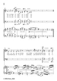 Brahms-Nachtigall,sag,was fur Gruss,WoO 33 No.48