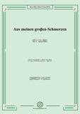Franz-Aus meinen groβen Schmerzen