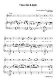 Schubert-Trost im Liede