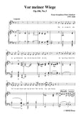 Schubert-Vor meiner Wiege