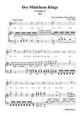 Schubert-Wandrers Nachtlied