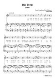 Schubert-Die Perle