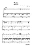 Schubert-Wohin,from 'Die Schöne Müllerin',Op.25 No.2