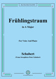 Schubert-Frühlingstraum,from 'Winterreise',Op.89(D.911) No.11