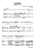 Schubert-Irrlicht,from 'Winterreise',Op.89(D.911) No.9