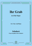 Schubert-Ihr Grab