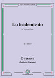 Donizetti-Lu trademiento
