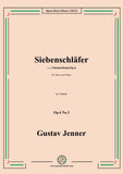 Jenner-Siebenschläfer