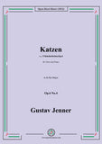 Jenner-Katzen