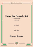 Jenner-Hinter der Donaubrück