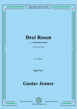 Jenner-Drei Rosen
