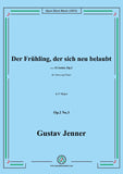 Jenner-Der Frühling,der sich neu belaubt