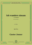 Jenner-Ich wandere einsam