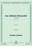 Jenner-Am schönen Ostseeufer
