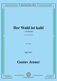 Jenner-Der Wald ist kahl