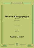 Jenner-Wo dein Fuss gegangen