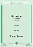 Jenner-Sternelein