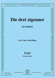 Liszt-Die drei zigeuner