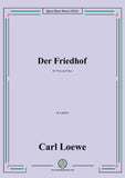Loewe-Der Friedhof