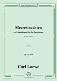 Loewe-Meeresleuchten