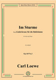 Loewe-Im Sturme,Op.145 No.3