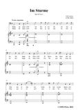 Loewe-Im Sturme,Op.145 No.3