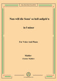 Mahler-Nun will die Sonn' so hell aufgeh'n(Kindertotenlieder Nr.1)