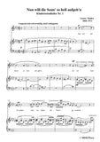 Mahler-Nun will die Sonn' so hell aufgeh'n(Kindertotenlieder Nr.1)
