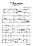 Mozart-Vedrai,carino