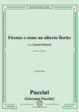 Puccini-Firenze e come un alberto fiorito