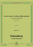 Schoenberg-Unterm Schutz von dichten Blättergründen,Op.15 No.1