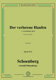 Schoenberg-Der verlorene Haufen