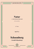 Schoenberg-Natur,in E Major,Op.8 No.1