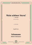 Schumann-Mein schoner Stern! Op.101 No.4